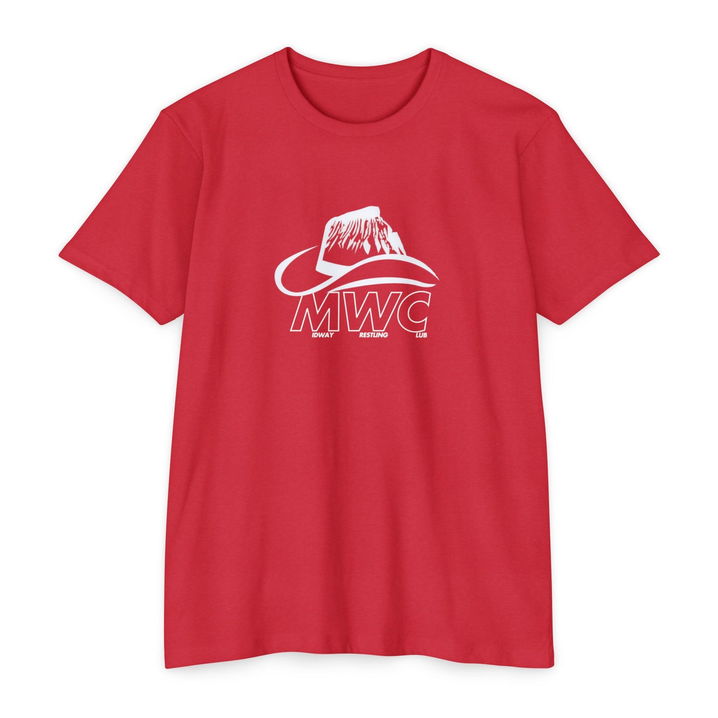 Unisex CVC Jersey T-shirt