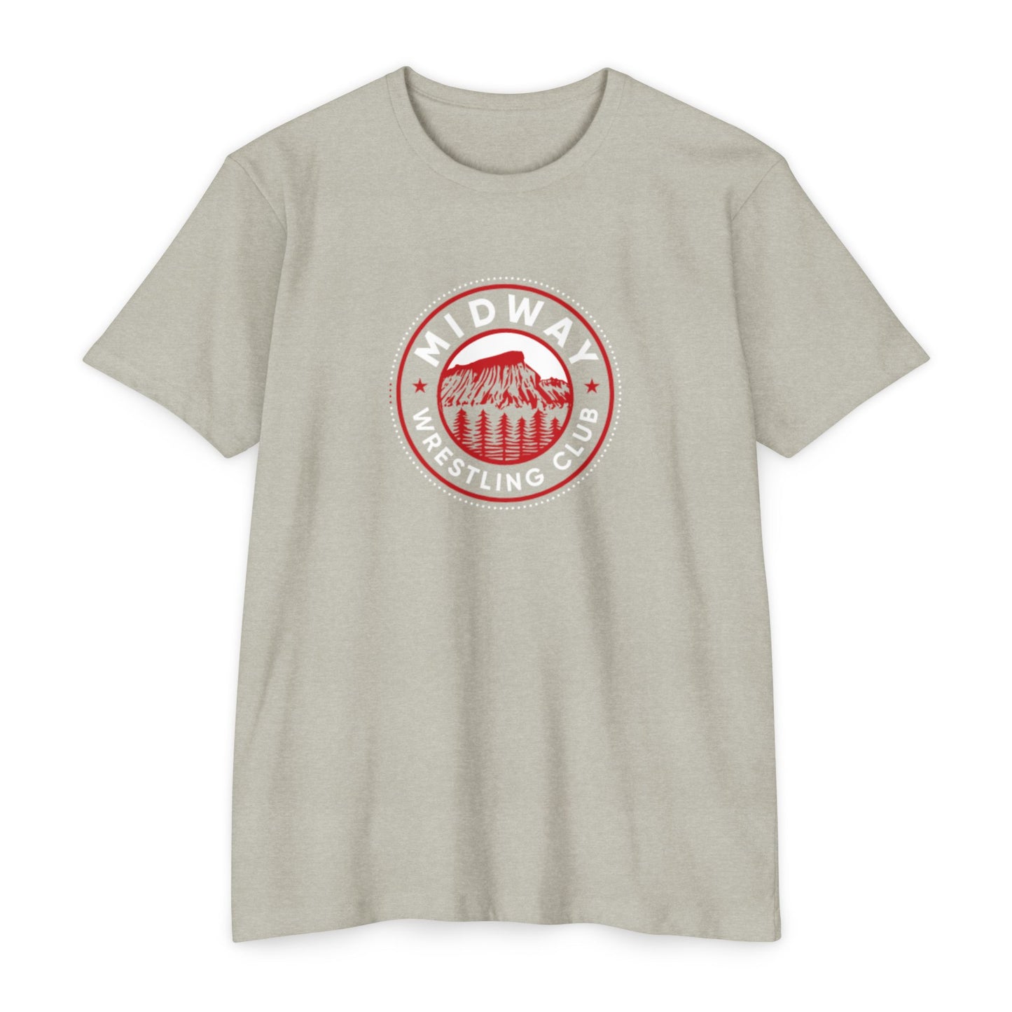 Unisex CVC Jersey T-shirt