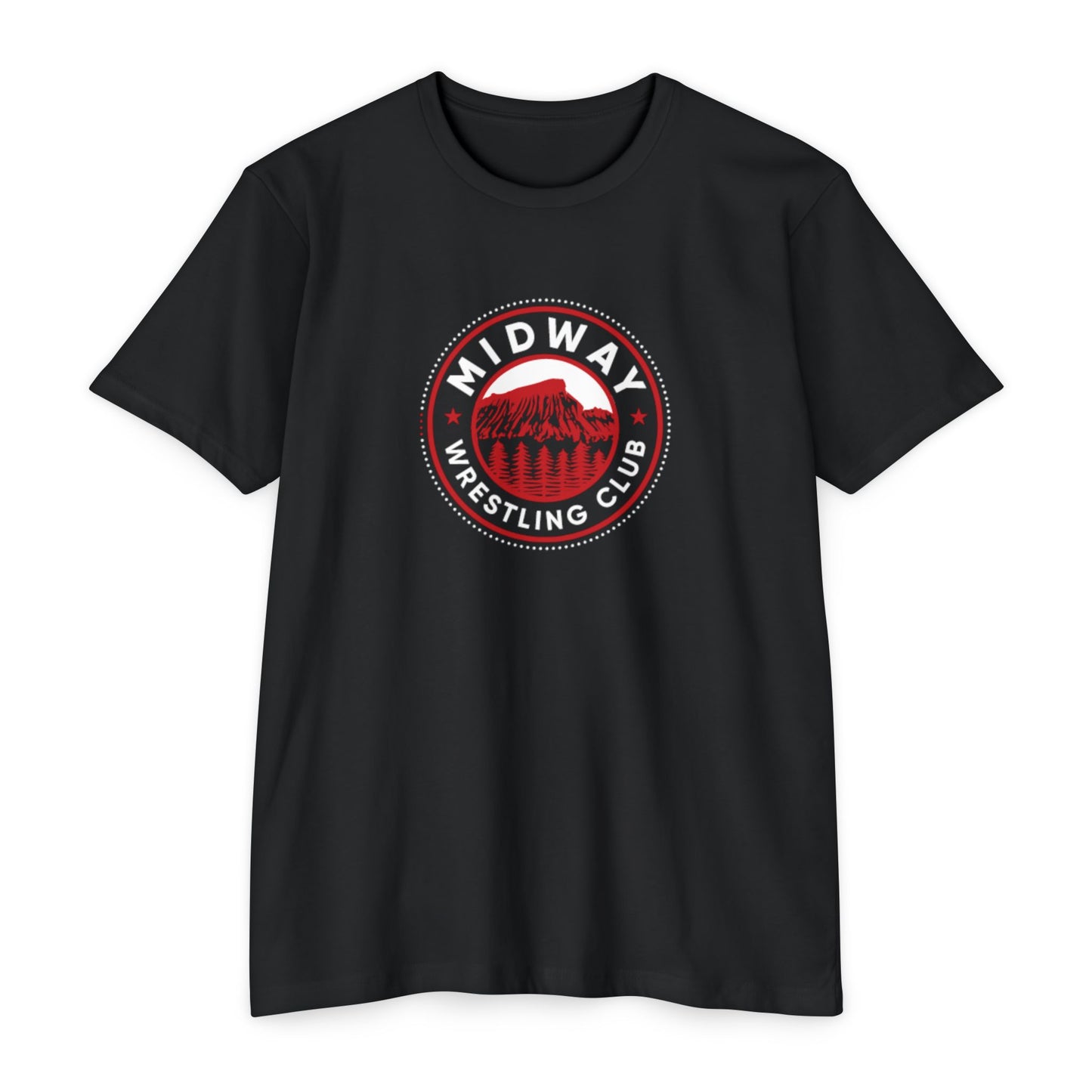 Unisex CVC Jersey T-shirt